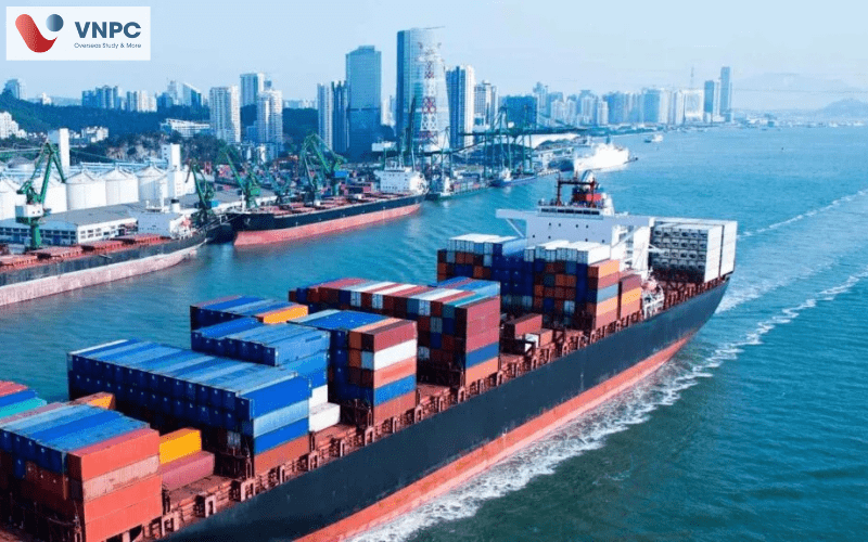 Du học Úc ngành nào dễ định cư
